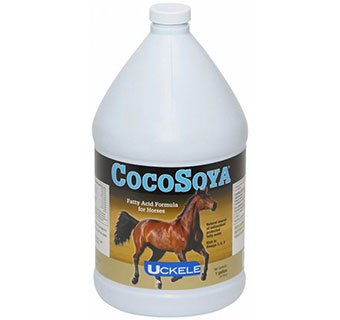 Cocosoya Oil Equine - 1 Gallon