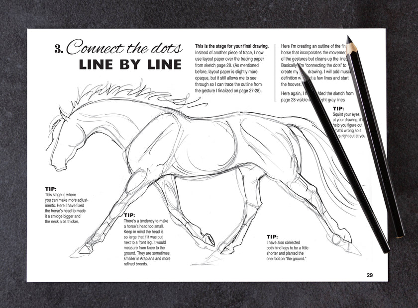 Equestrian Art Book Anyone Can Draw Horses