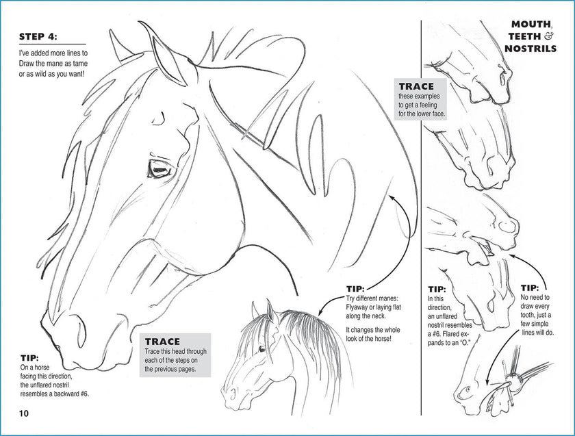 Equestrian Art Book Anyone Can Draw Horses