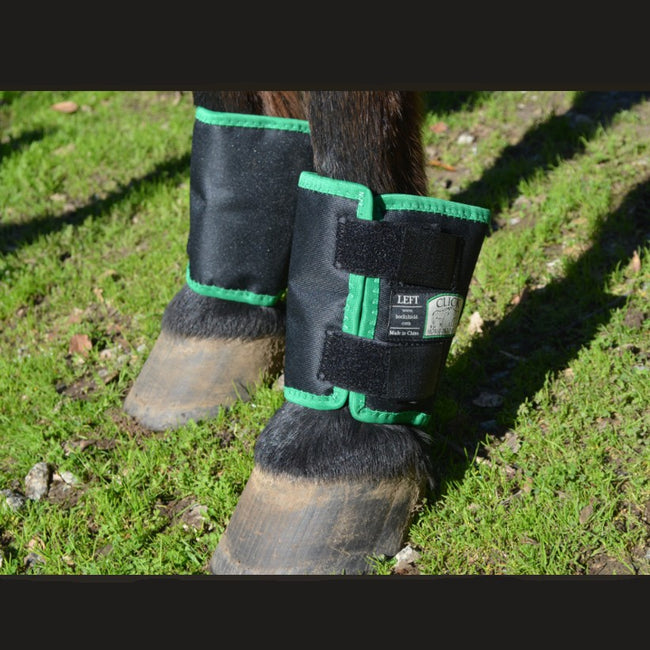 Click Horse Fetlock Shield Black with Green Trim