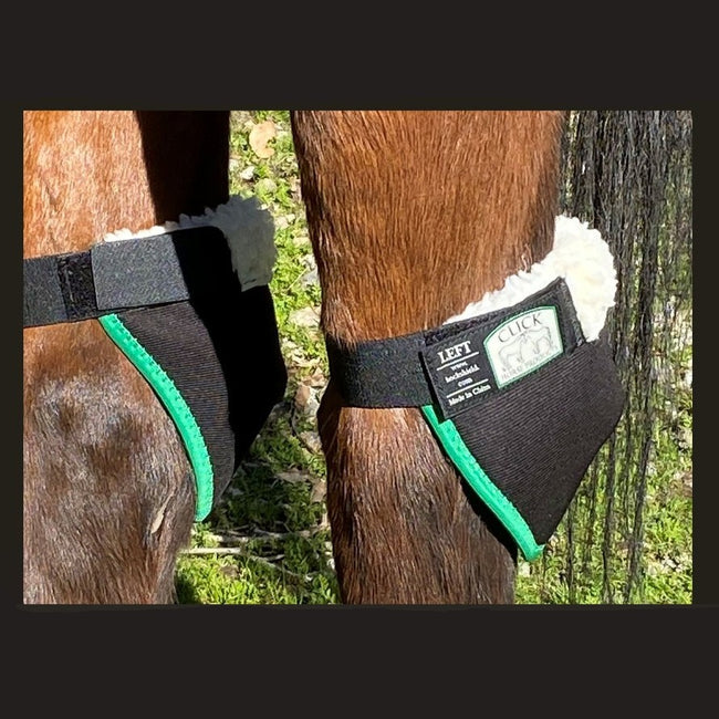 Click Horse Hock Shield, pair on model horse