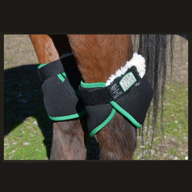 Click Horse Hock Shield Ultra, Pair on model horse.