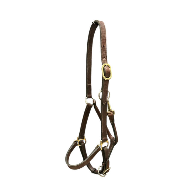 KHS_E Pony Brown Leather Halter