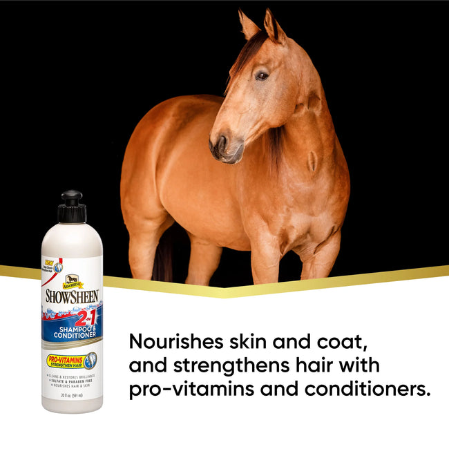 Showsheen® 2-In-1 Shampoo & Conditioner