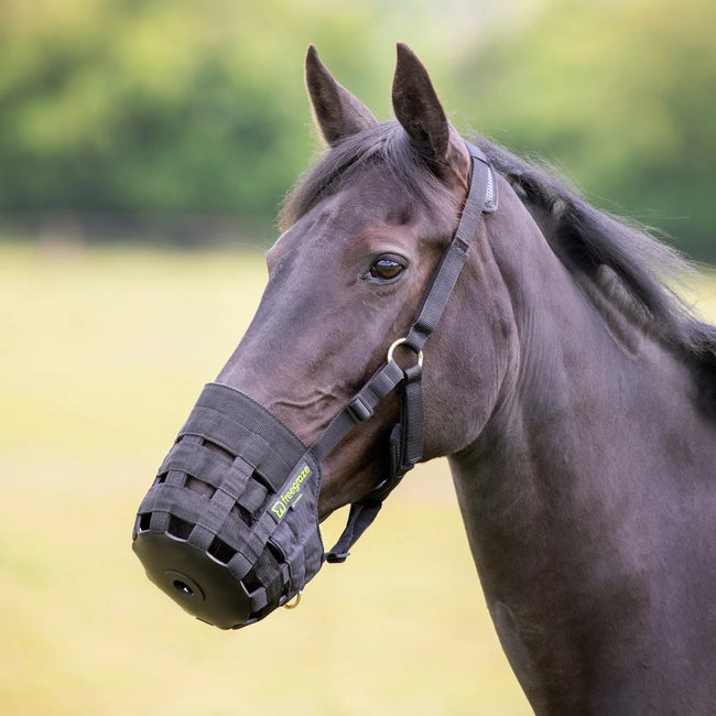 Shires FreeGraze Comfort Grazing Muzzle on model horse