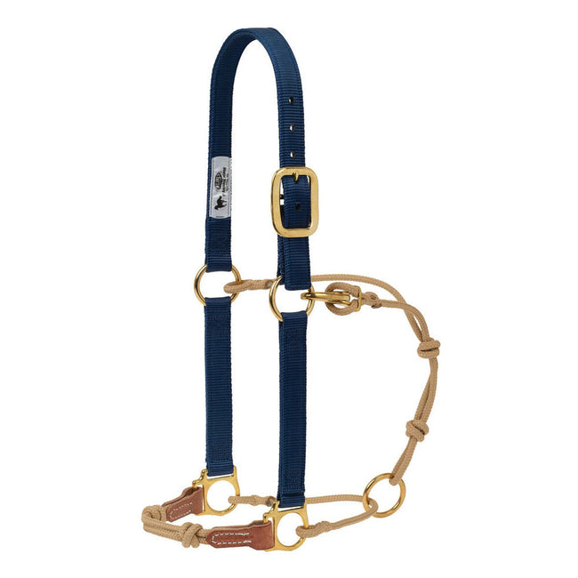 Weaver Leather Horseman's Halter Blue