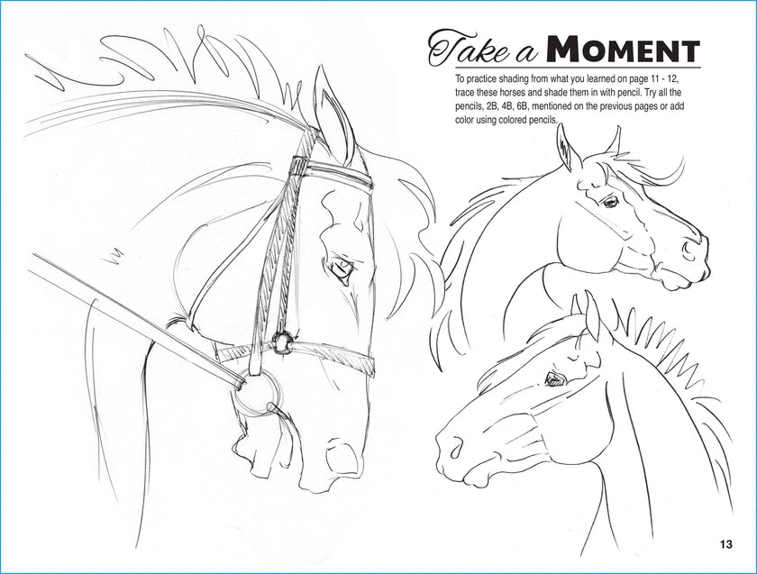 Equestrian Art Book Anyone Can Draw Horses