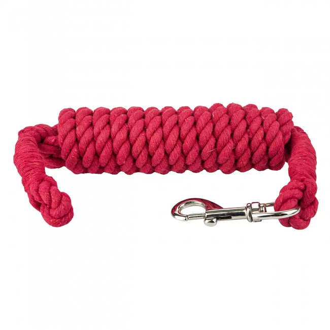 red-10ft-horse-lead-boltsnap