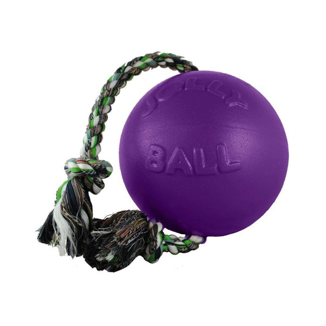 Jolly Pets Romp-n-Roll purple