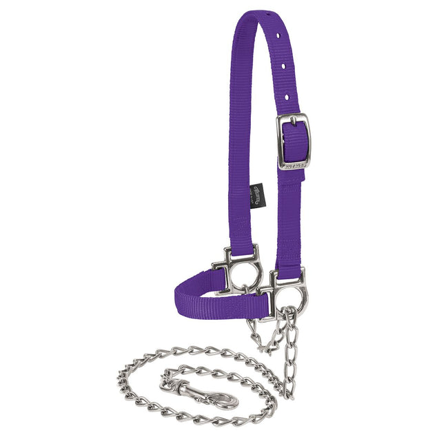 Purple Sheep Halter with Lead