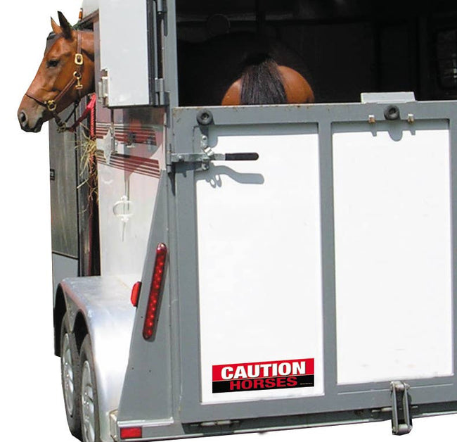 Horse Bumper Sticker: Caution Horses!