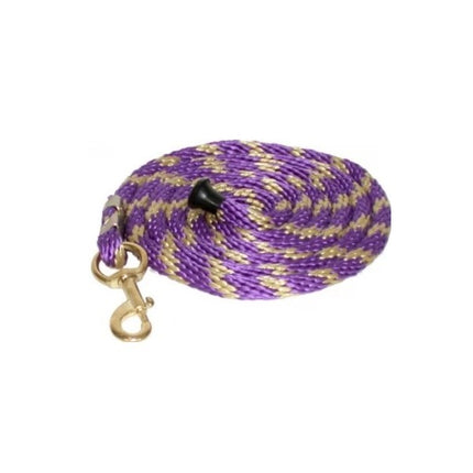Dark purple and gold 10' Poly Lead with Snap