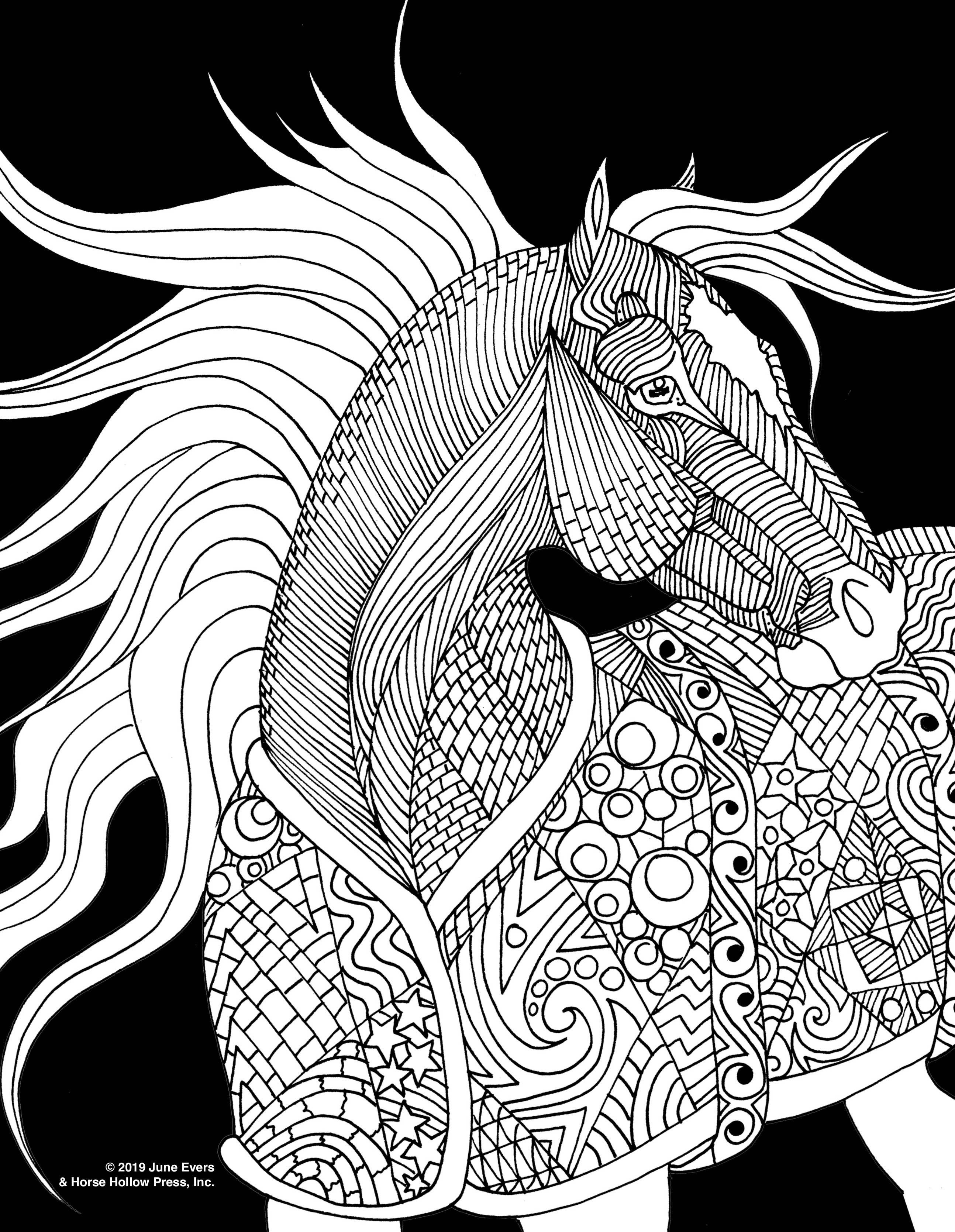Art Coloring Kit Horse Drawings w/ Pencils