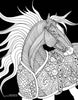 Art Coloring Kit Horse Drawings w/ Pencils