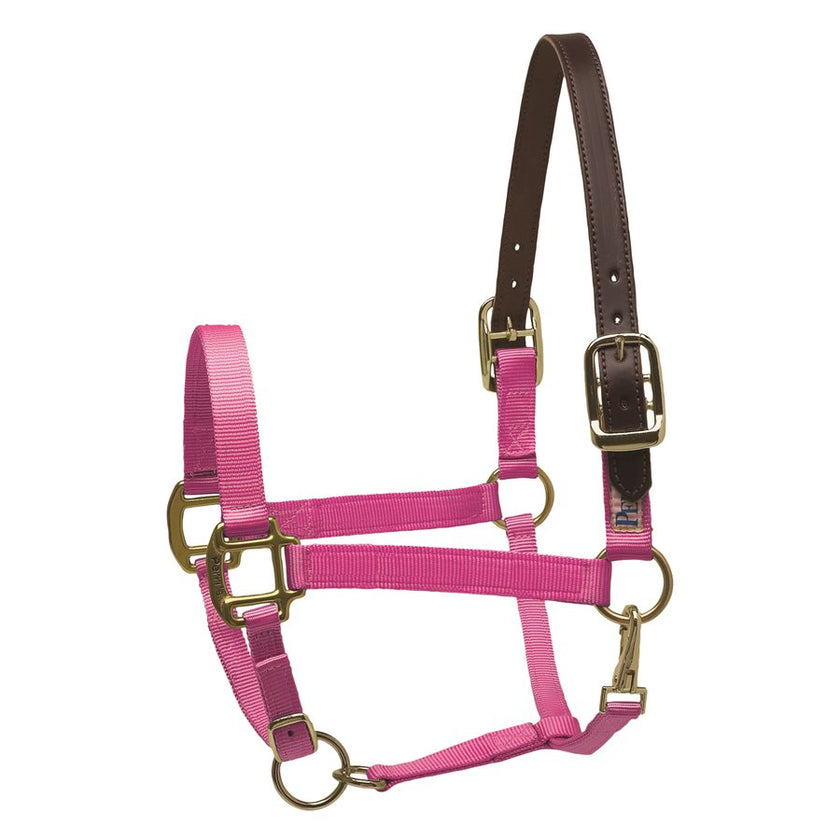 Perri’s® Premium Nylon Safety Halter Hot Pink