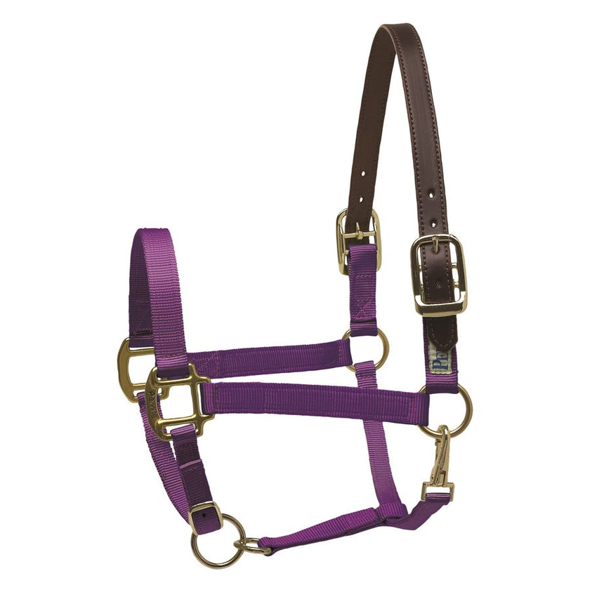 Perri’s® Premium Nylon Safety Halter Purple