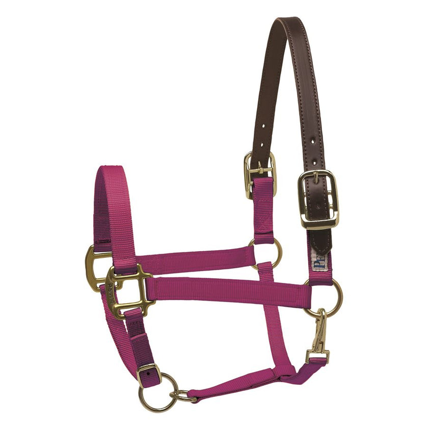 Perri’s® Premium Nylon Safety Halter Raspberry