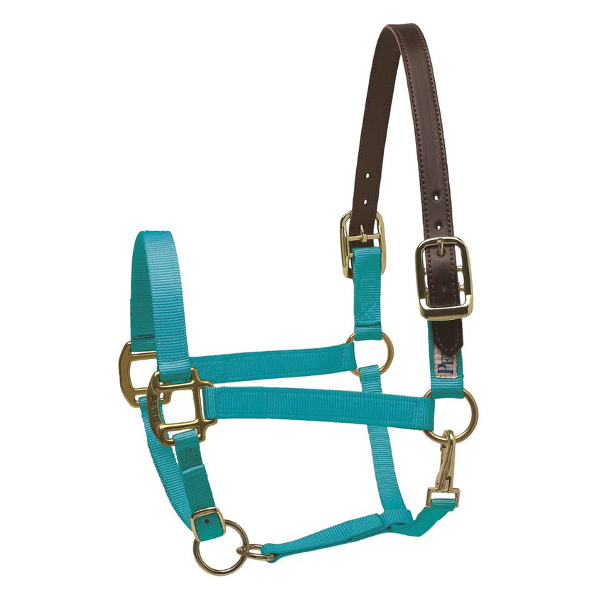 Perri’s® Premium Nylon Safety Halter Turquoise
