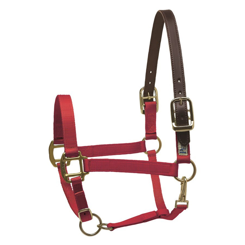 Perri’s® Premium Nylon Safety Halter Red