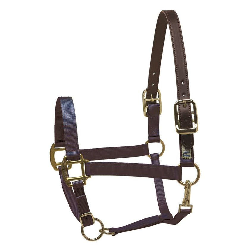 Perri’s® Premium Nylon Safety Halter Navy