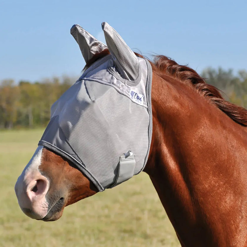Standard Nose Fly Mask w/ Ears