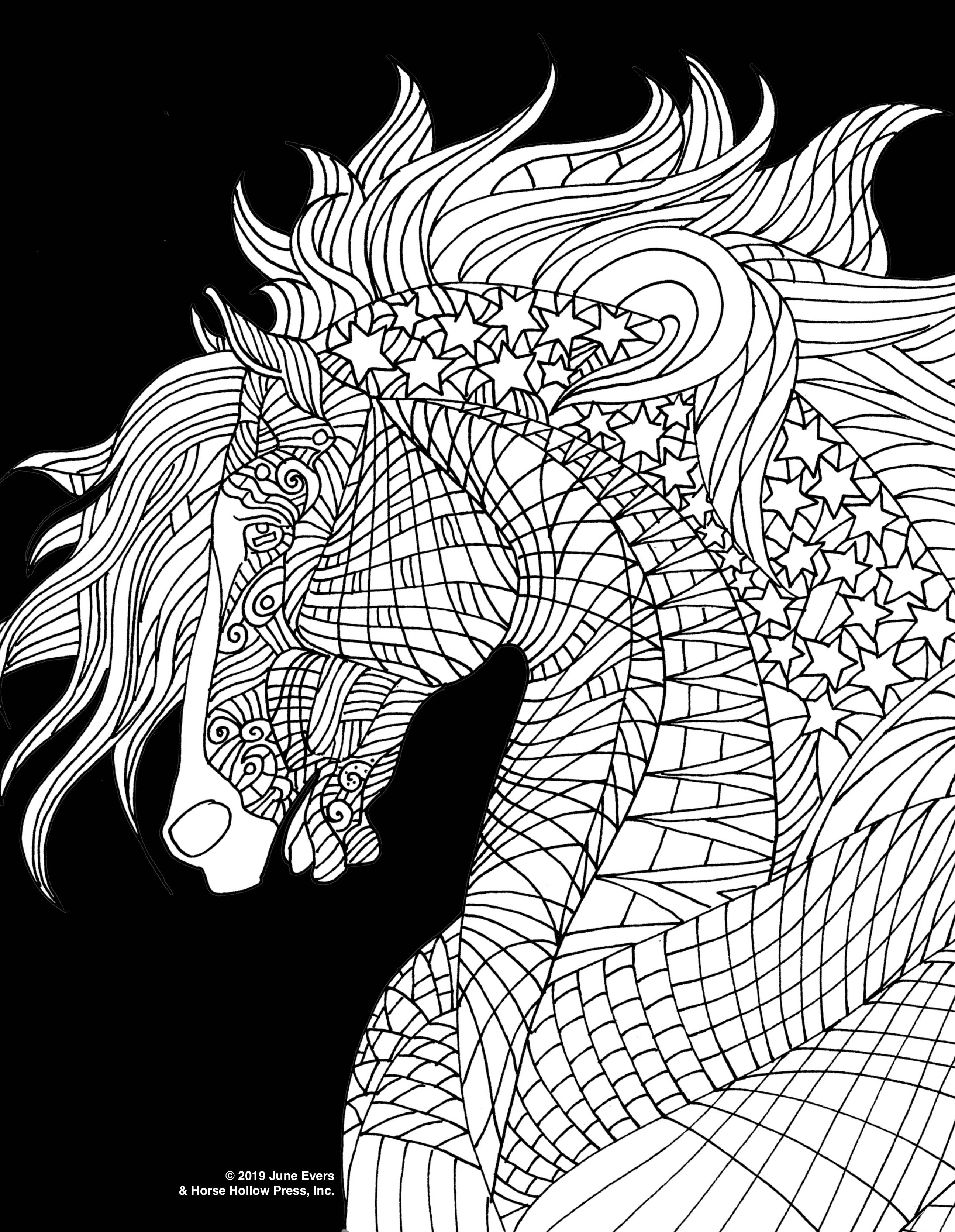 Art Coloring Kit Horse Drawings w/ Pencils