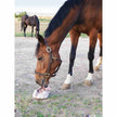 Redmond Rock® - Mined Horse Salt Lick shown with a horse licking it on the ground in a pasture. 