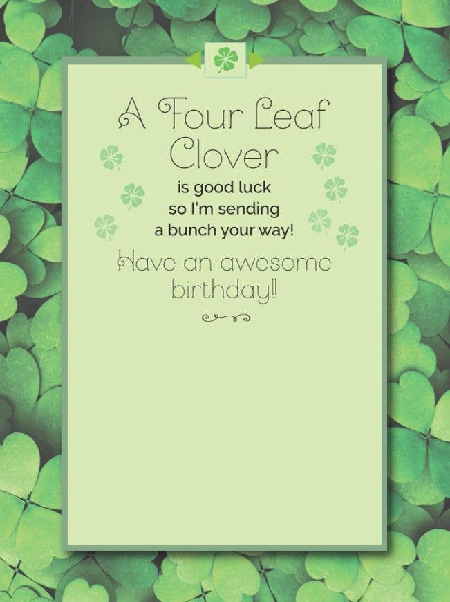 Horse Birthday Card: Warmblood w/ Clover