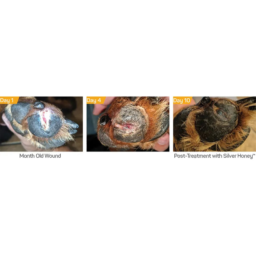 Silver Honey Hot Spot & Wound Care Spray