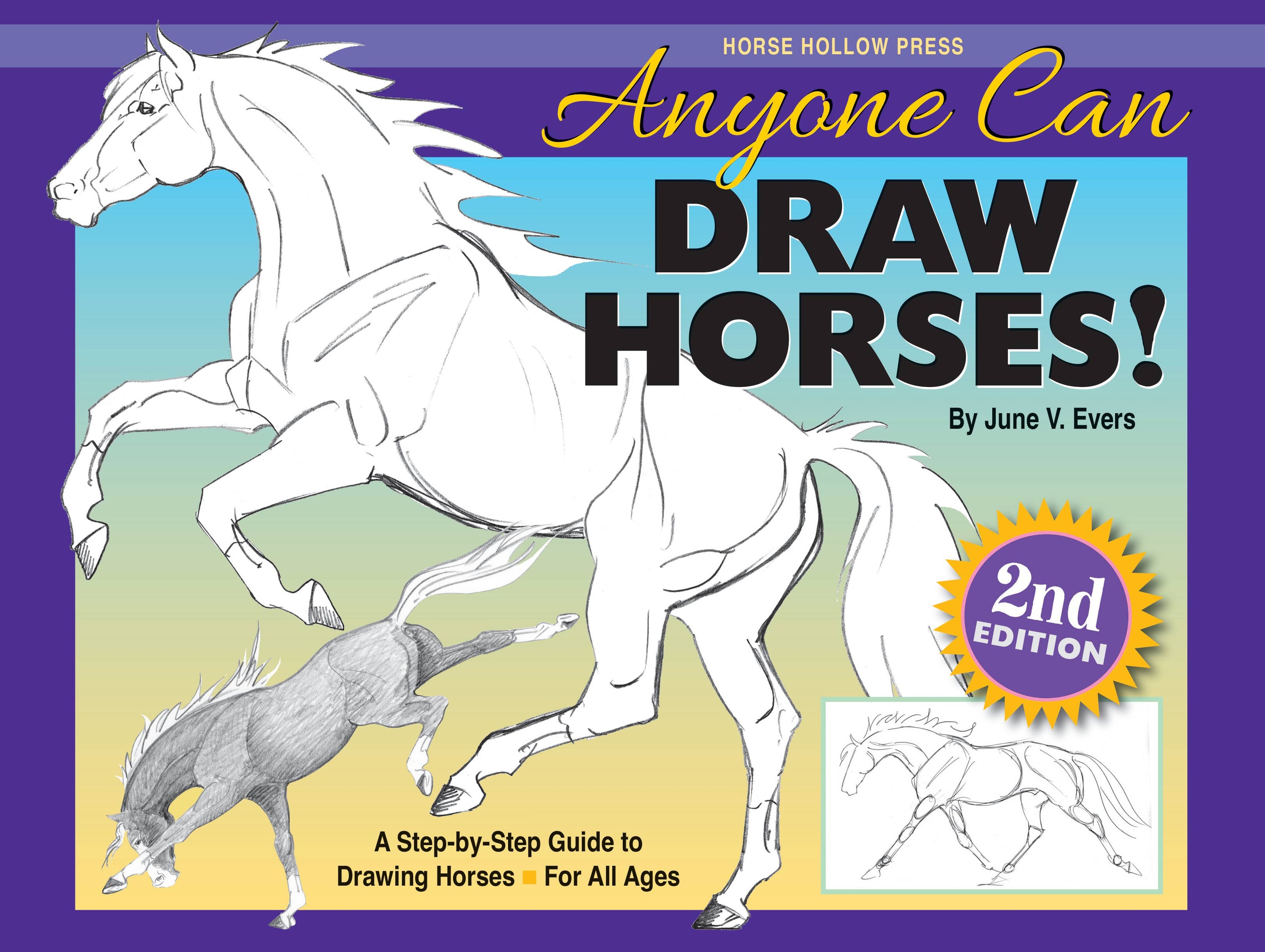 Equestrian Art Book Anyone Can Draw Horses