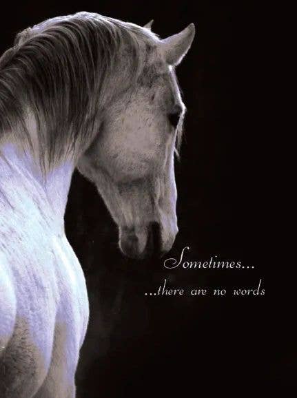 Sympathy Card - Sometimes ...