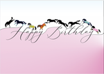Horse Hollow Press - Horse Birthday Card: Happy Birthday