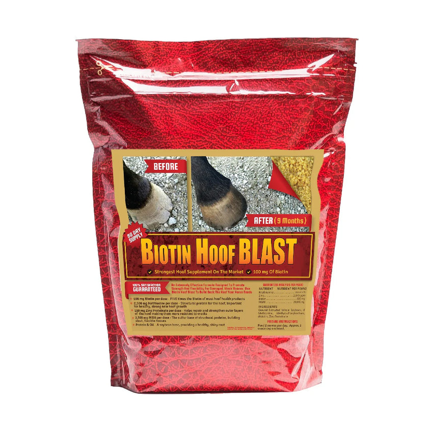 Horse Guard - Biotin Hoof Blast 10 lb Bag