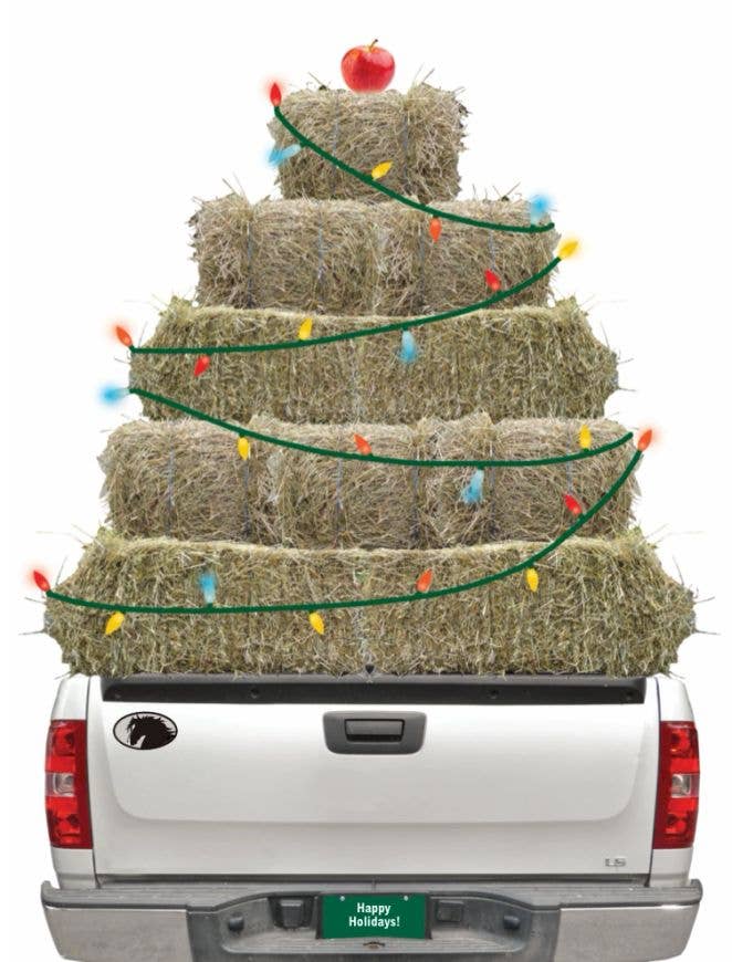 Horse Hollow Press - Horse Christmas Card: Hay Truck w/ Lights & Apple on top!