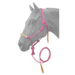 Rawhide Noseband Rope Halter w/ Lead