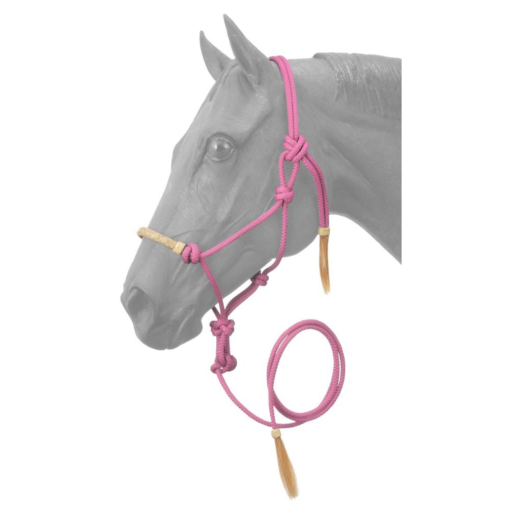 Rawhide Noseband Rope Halter w/ Lead