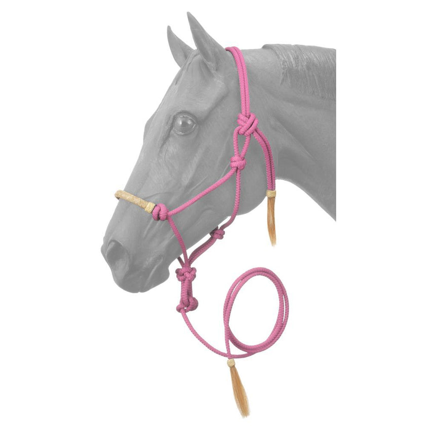 Rawhide Noseband Rope Halter w/ Lead