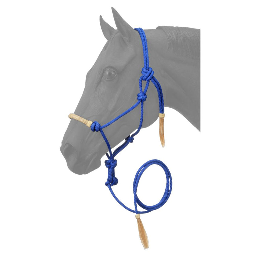 Rawhide Noseband Rope Halter w/ Lead