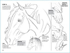 Equestrian Art Book Anyone Can Draw Horses