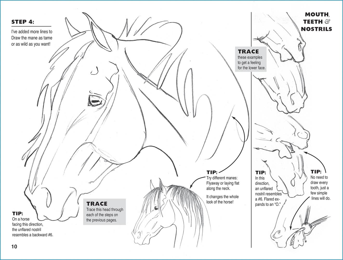 Equestrian Art Book Anyone Can Draw Horses