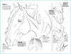 Equestrian Art Book Anyone Can Draw Horses