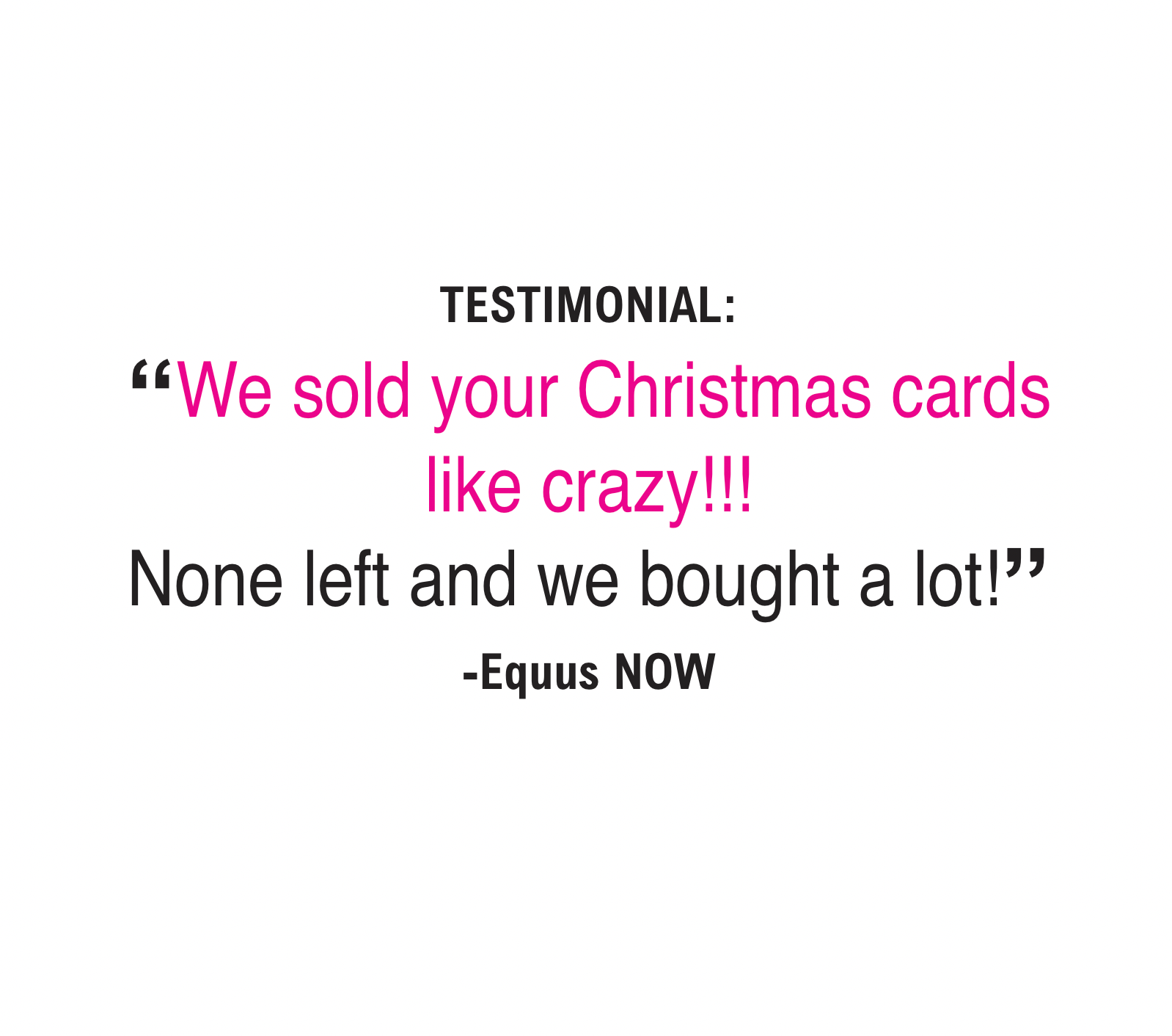 Horse Christmas Card - Santa Knows