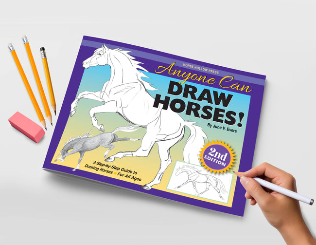Equestrian Art Book Anyone Can Draw Horses