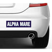 Horse Hollow Press - Horse Bumper Sticker: Alpha Mare!