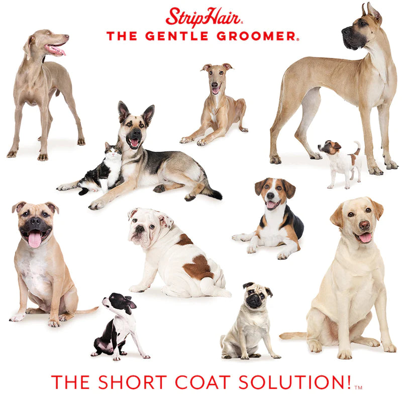 Betty's Best StripHair Pet & Home Bundle 3pc Kit