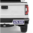 Horse Hollow Press - Horse Bumper Sticker: Alpha Mare!