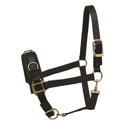 Perri’s® Nylon Lunge Caveson