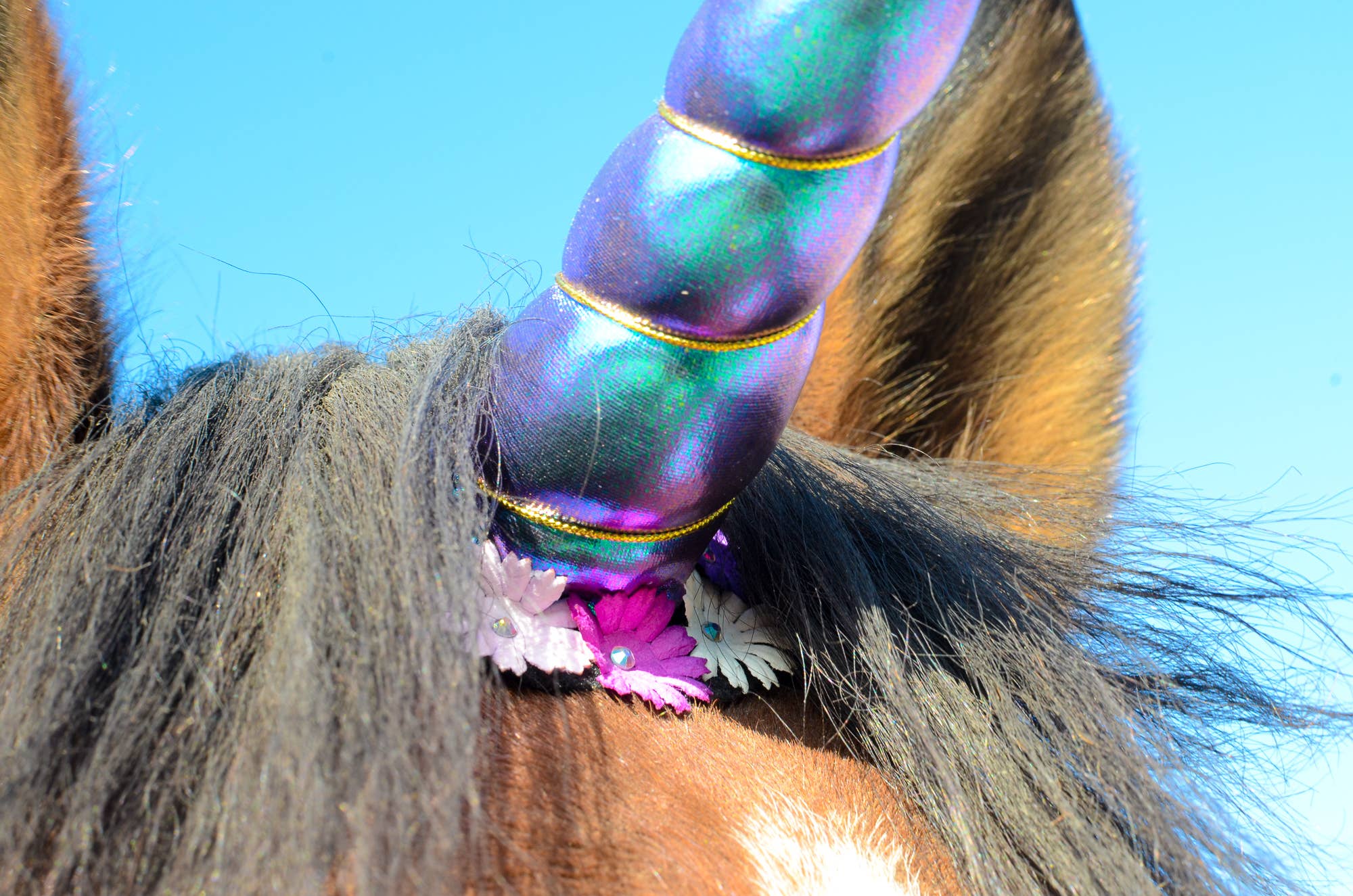 Circus Unicorn Shop - Unicorn Horn for Horse or Pony