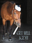 Get Well Card - Horse & Thermometer