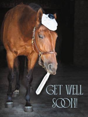 Get Well Card - Horse & Thermometer